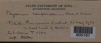 Image Associated With the Occurence